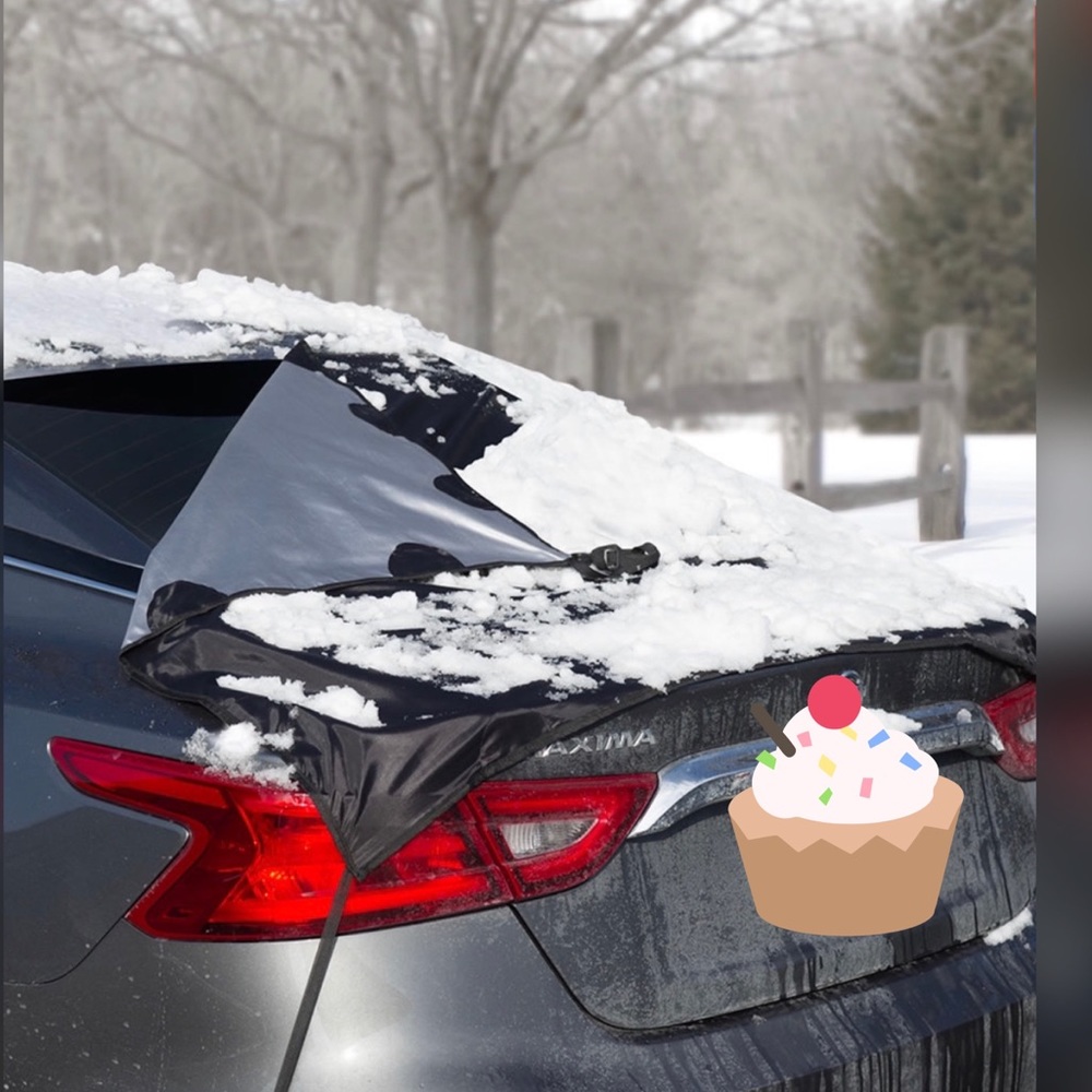 Window Snow Tarp
